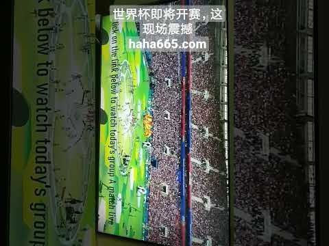 欧洲杯得分,王奖杯揭晓,中国设计师,天博体育,体育赛事,体育投注,实时直播,体育平台,体育投注